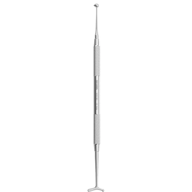 Asa Dental Burnisher 3