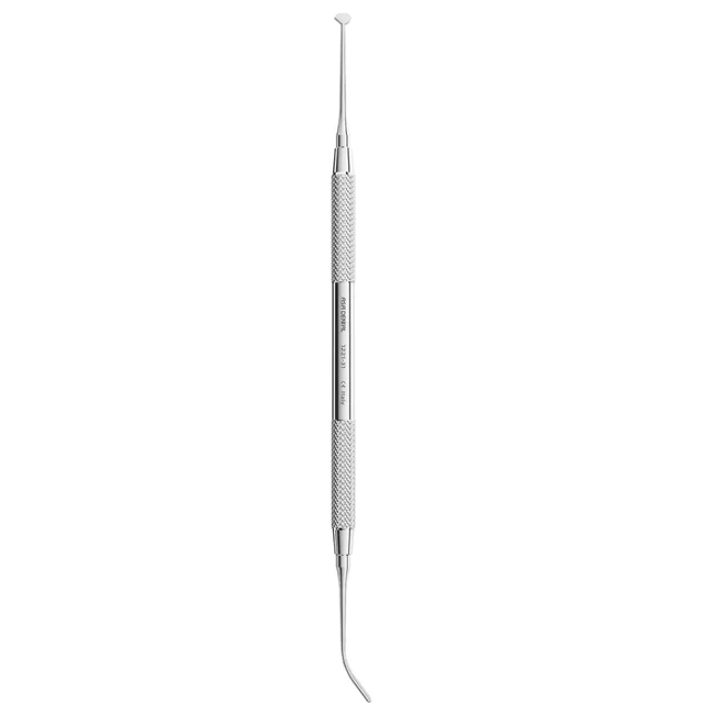 Asa Dental Burnisher 2