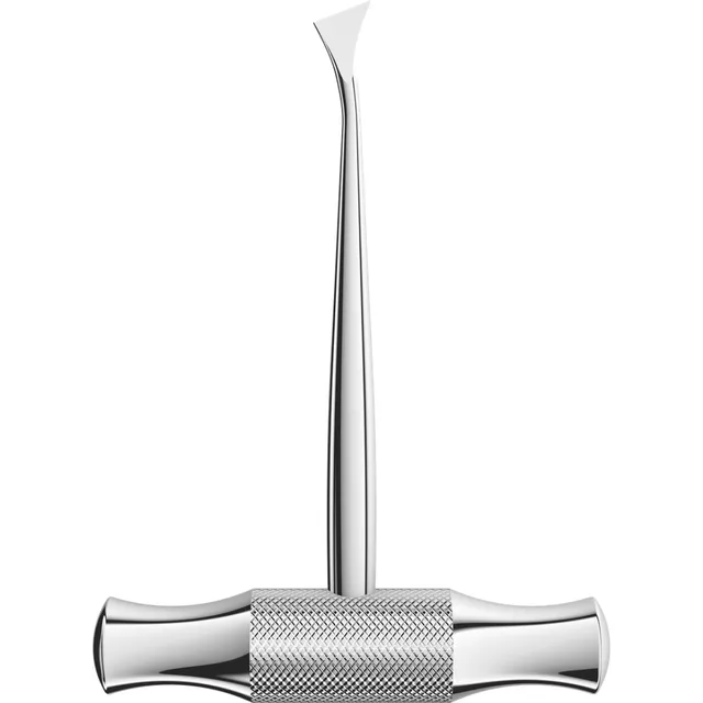 Asa Dental Elevatör Winter T 2