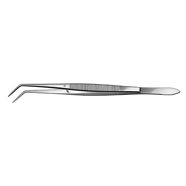 Carl Martin Solingen Presel 16 cm 725/1 photo