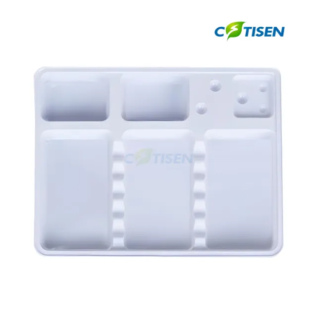 Cotisen Tek Kullanımlık Tepsi (100 Adet) 2