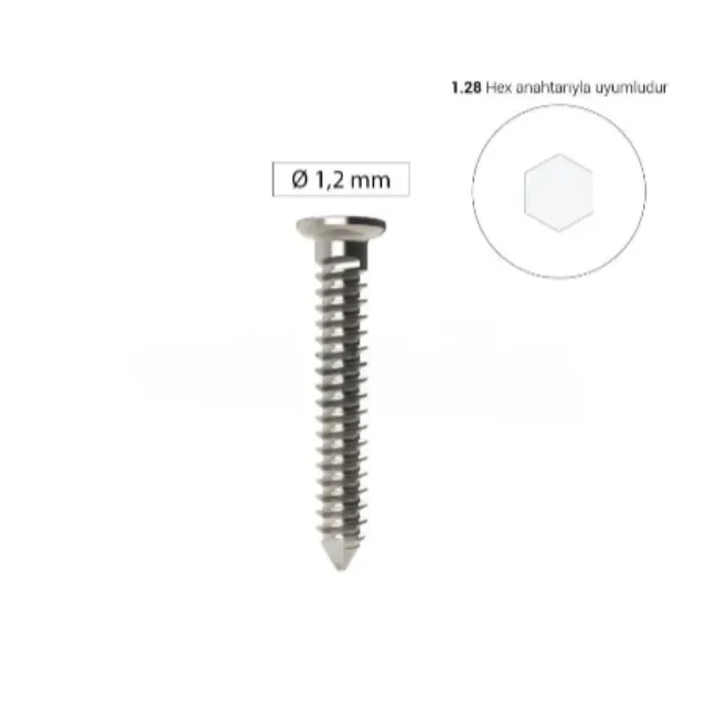 Dentreal Bonefix GBR Vida Titanyum Kemik Sabitleme Mini Vida Refil - Ø 1,2 mm photo