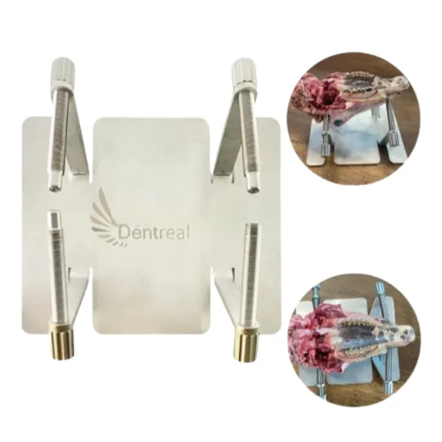 Dentreal Cerrahi Egitim Tezgahı - Cerrahi Mengene - Paslanmaz Çelik Cerrahi Tutucu photo