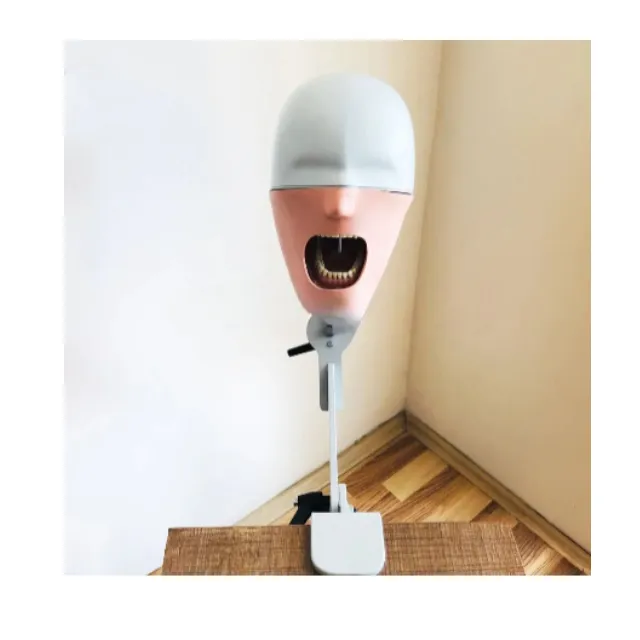 Dentreal Masaya Monte Ekonomik Model Fantom Kafa photo