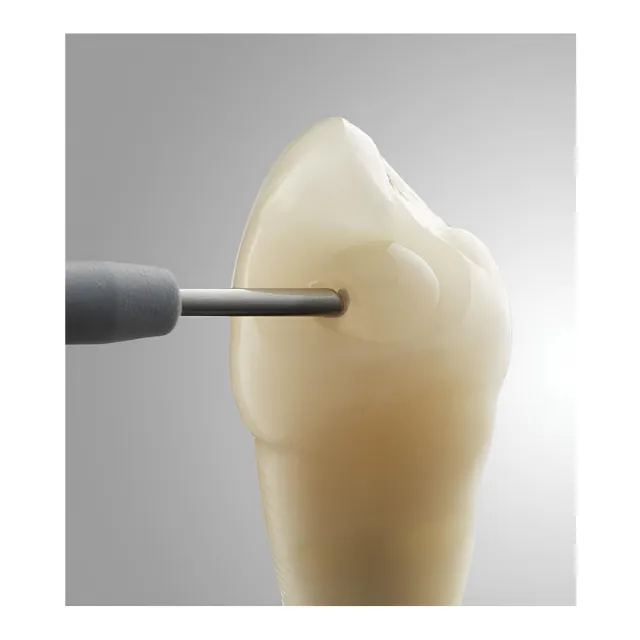 Dentsply SDR Plus Collectors Edition Kompül 110'luk Kit 3