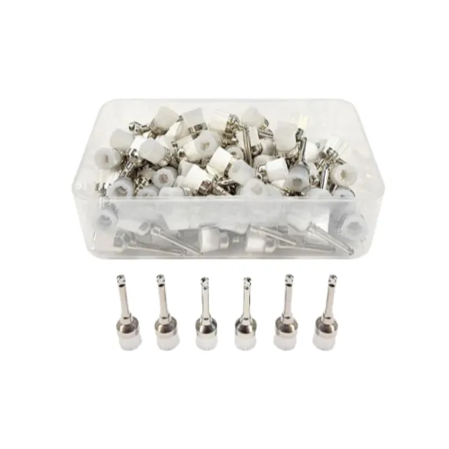 Drm Dental Şeffaf Naylon Detertraj Fırçası - 100 Adet photo