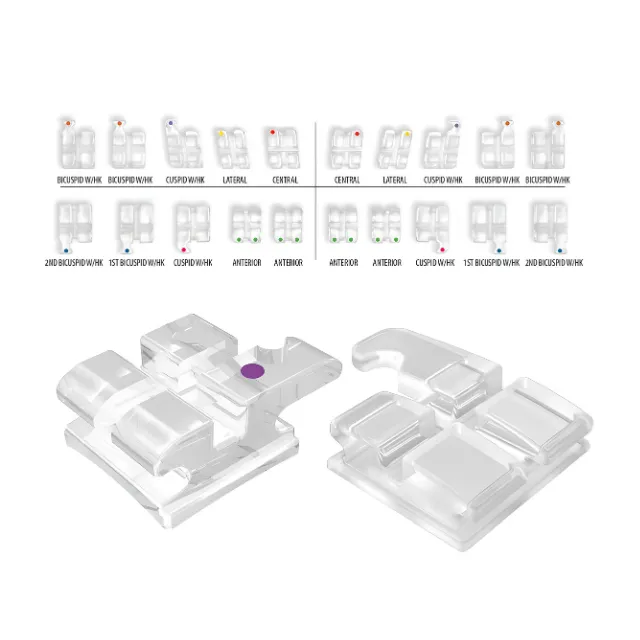 Dynaflex ClearViz + Şeffaf Braket photo