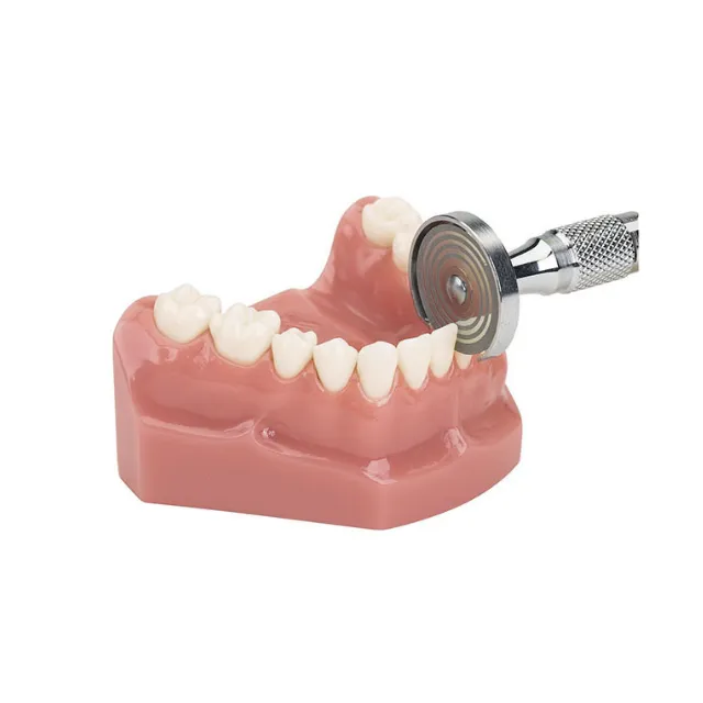 Dynaflex Dil Koruma ve Arayüz Separe Kiti photo