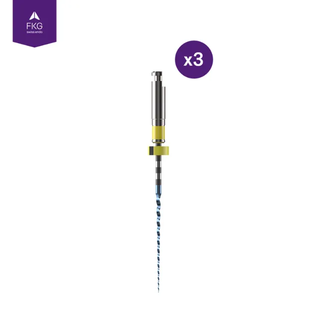 FKG Swiss Endo R-Motion Resiprokal Kanal Eğesi photo