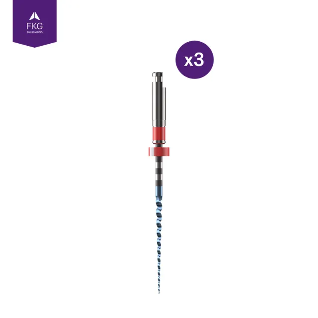 FKG Swiss Endo R-Motion Resiprokal Kanal Eğesi 3