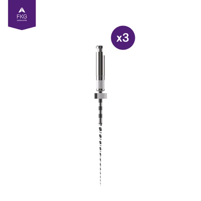 FKG Swiss Endo R-Motion Resiprokal Kanal Eğesi 13