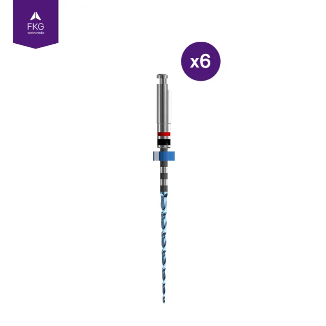 FKG Swiss Endo Race Evo 31