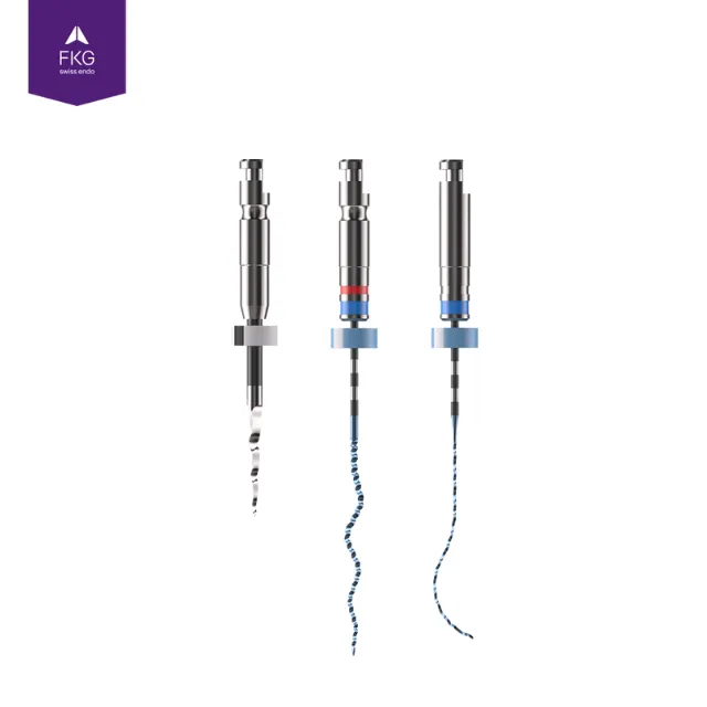 FKG Swiss Endo XP-endo Rise Shaper Retreatment Sequence photo