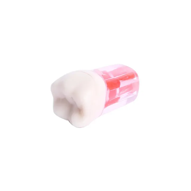 Fuji Endo Kronlu Diş Molar  photo
