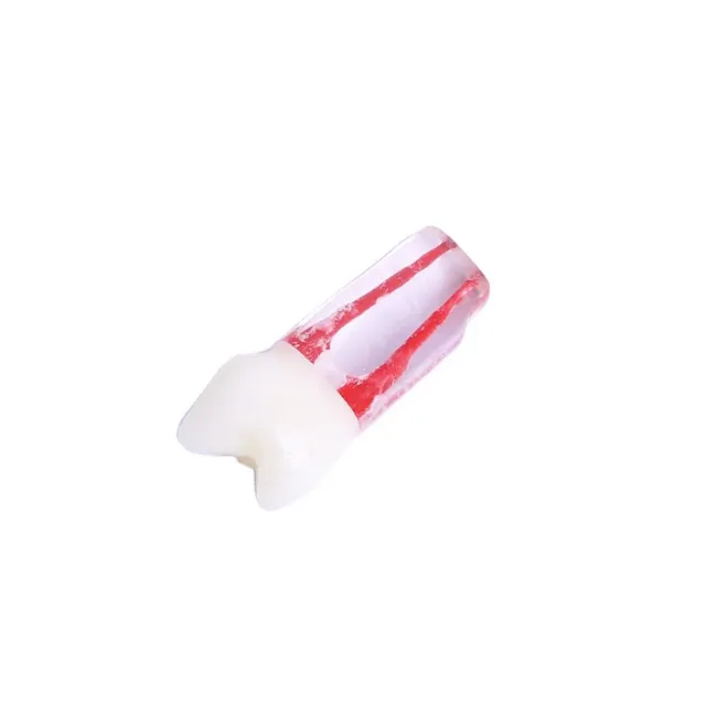 Fuji Endo Kronlu Diş Premolar   photo