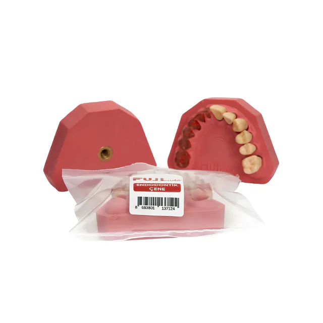 Fuji Kronlu Endodontik Çene Wax photo