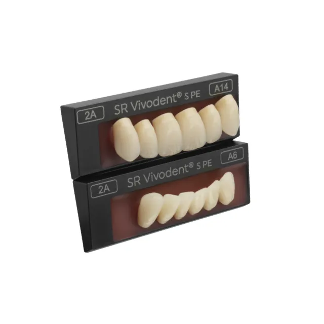 İvoclar SR Vivodent S PE İsosit Kompozit Alt Anterior Dişler 6'lık photo