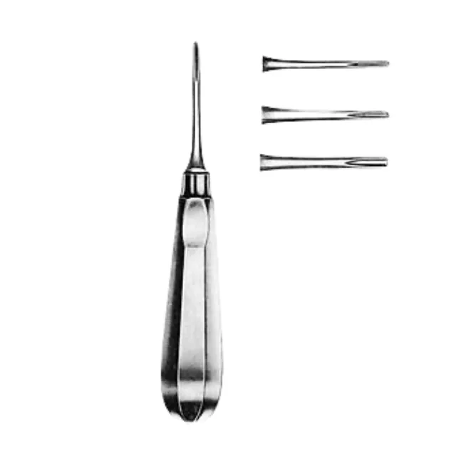 Mayerbach Bein Elevatör photo