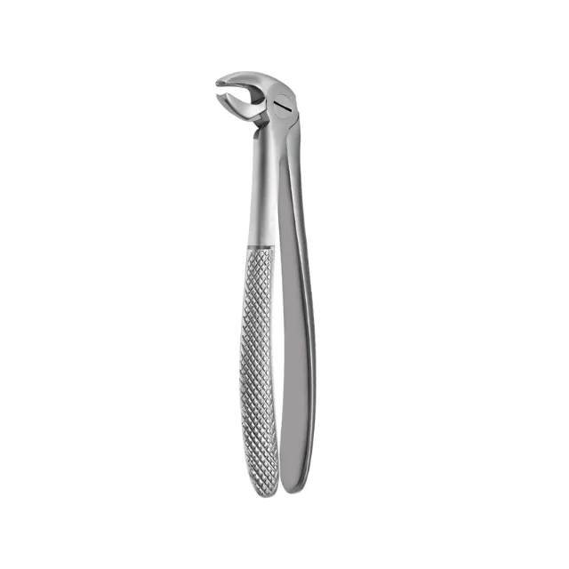 Mayerbach Yetişkin Alt Premolar Küçük Azı Davye Fig. 13 photo