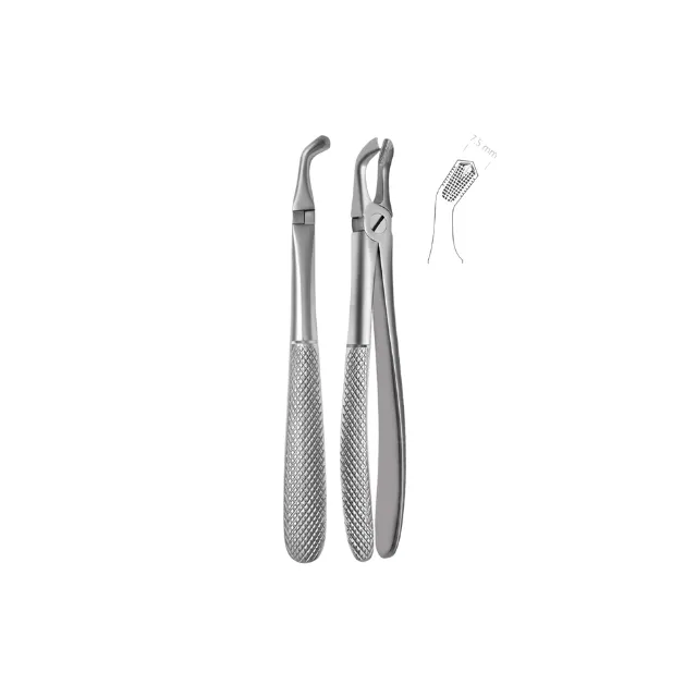 Mayerbach Yetişkin Alt Yirmi Yaş Davye Fig. 79 photo