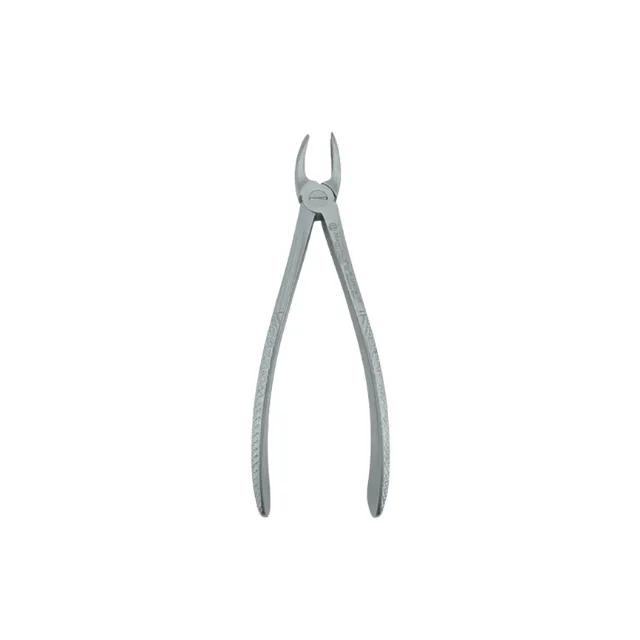 Mayerbach Yetişkin Sol Üst Molar Davye Fig. 18 photo