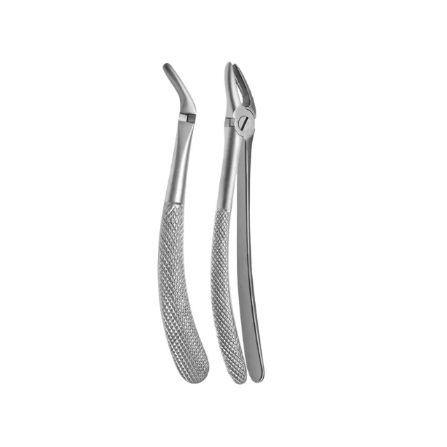 Mayerbach Yetişkin Üst Premolar Küçük Azı Davye Fig. 7 photo