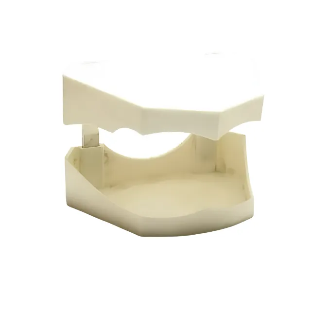 Model Base Orto Takım photo