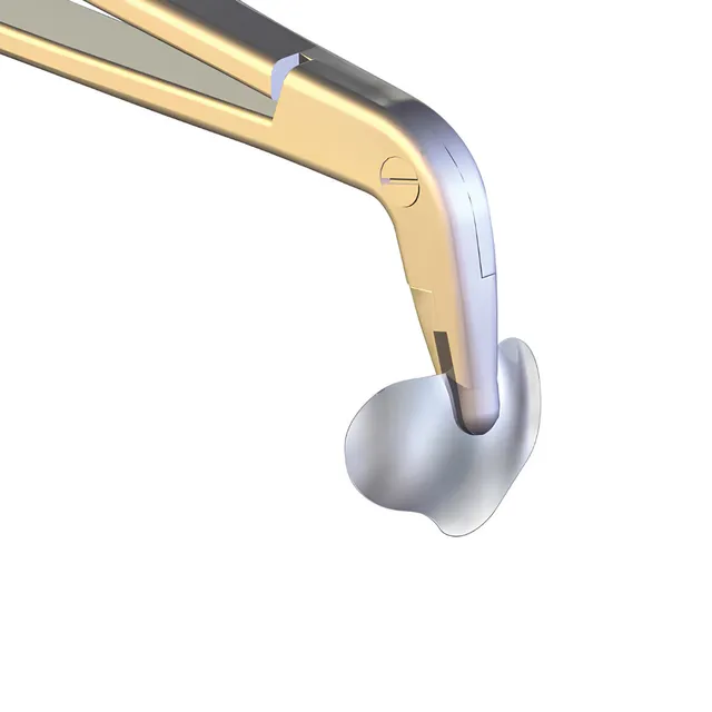 Polydentia myQuickmatrix Forceps 2
