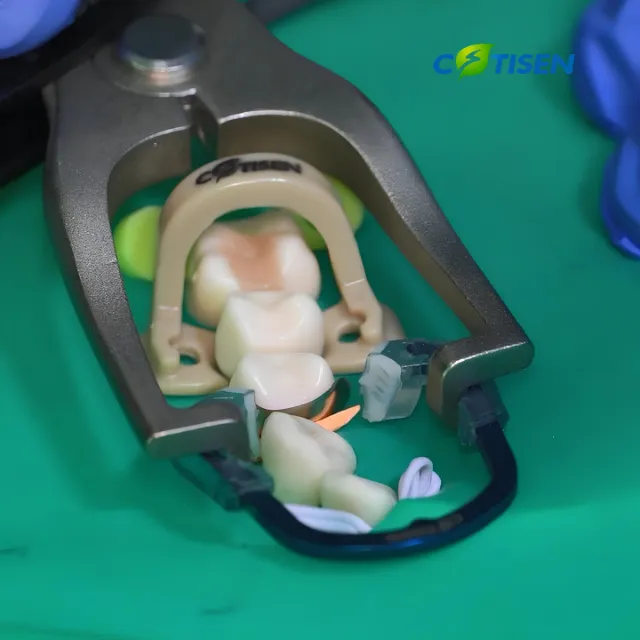 Cotisen RestoraRing Bölgesel Matriks Yüzüğü 3