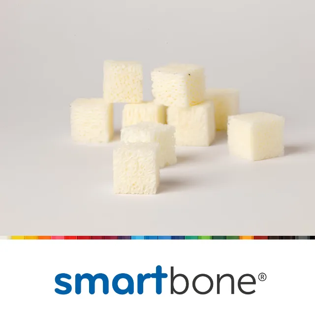 SmartBone Block Kemik Grefti - Sığır Kaynaklı 2